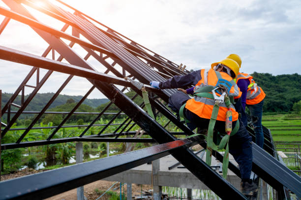 Best Residential Roof Replacement  in Venice, IL